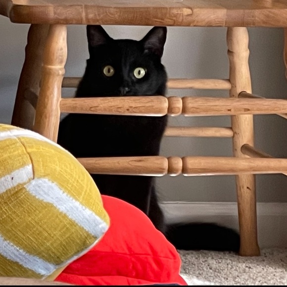 Hi, Lauren here! 👋🏽☺️🌈 - Picture 6 of 7